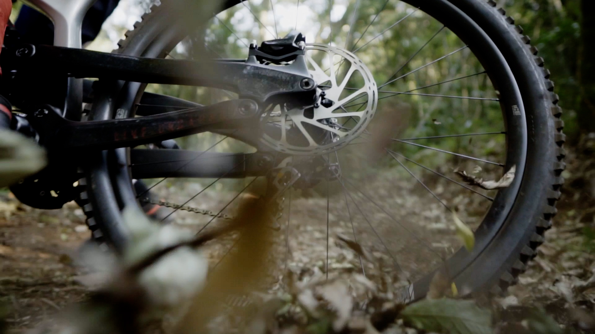 Religion Cycling frame 06